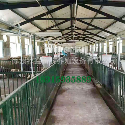 �������߹���ԭ����4 ��ʵ���Զ�����׼���ͣ�